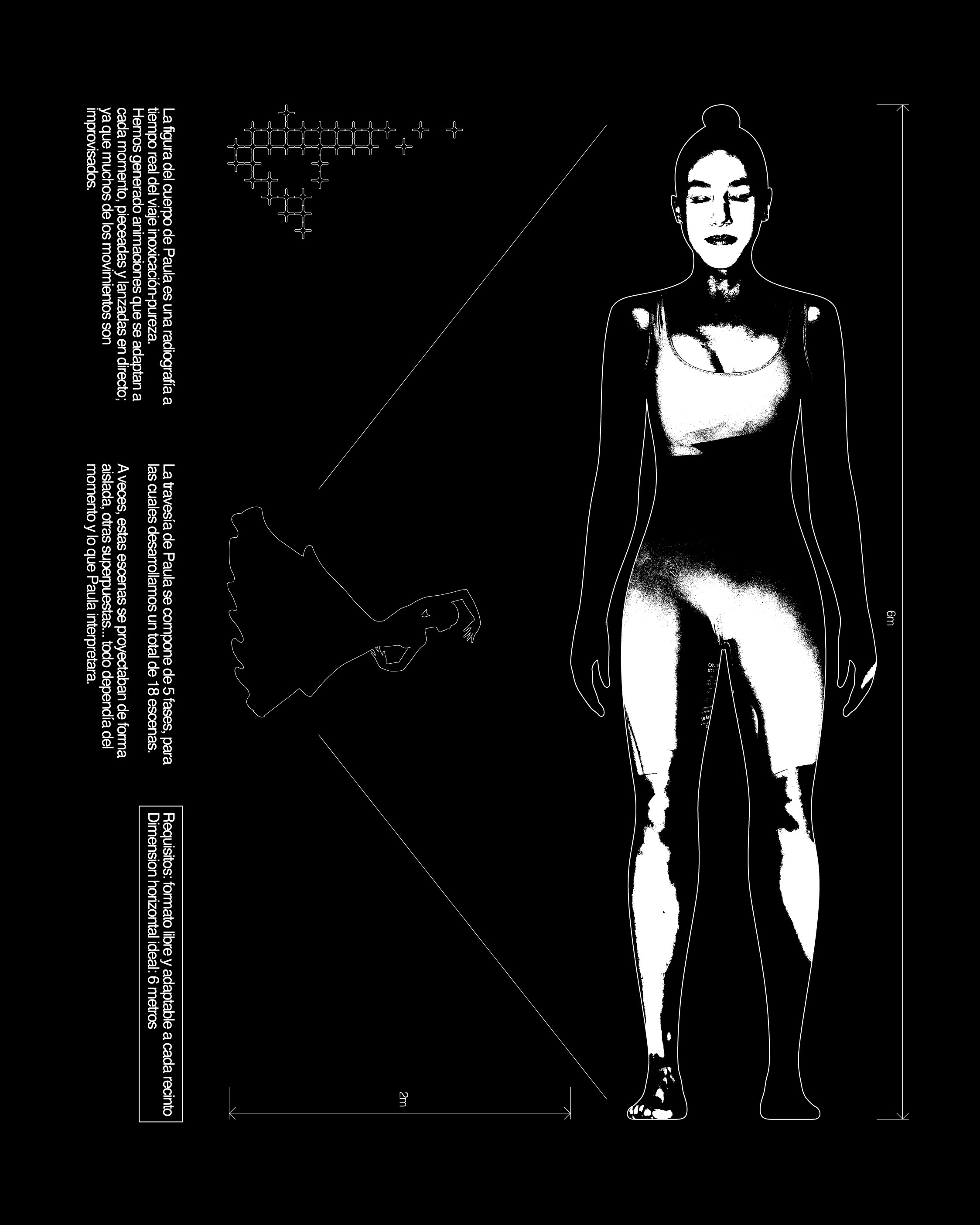 La fórmula de la pureza — Paula Valbuena